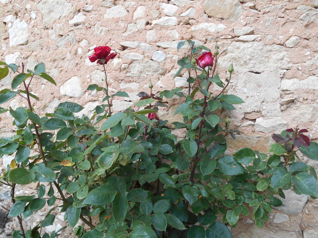 Le Mas Des Baux เบดวง ภายนอก รูปภาพ